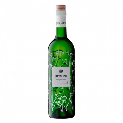 Protea Sauvignon Blanc 750ml