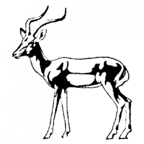Impala Carcass R45/kg. (Average Weight 28kg = R1260.00) Impala Carcass R45/kg. (Average Weight 28kg = R1260.00)